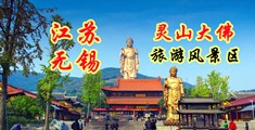 干逼片网站江苏无锡灵山大佛旅游风景区