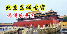 大jj插bb小视频中国北京-东城古宫旅游风景区